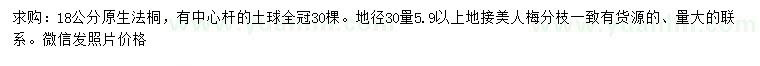 求購8公分法桐、地徑30公分量5.9公分以上美人梅