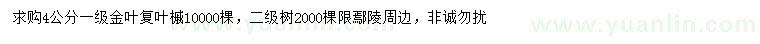 求購4公分金葉復葉槭