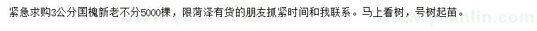 求購3公分國槐