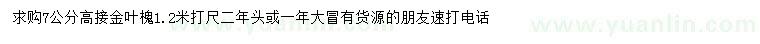 求購7公分高接金葉槐