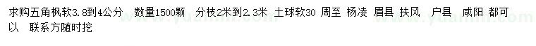 求購軟3.8-4公分五角楓