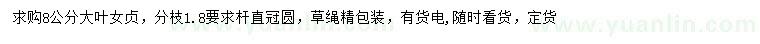 求購8公分大葉女貞