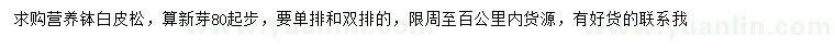 求購80公分起步白皮松