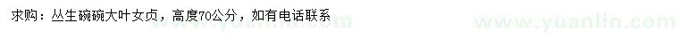 求購高70公分叢生大葉女貞