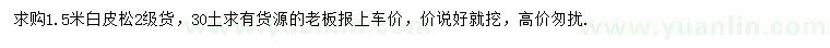 求購1.5米白皮松
