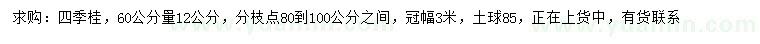 求購60公分量12公分四季桂