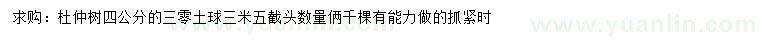 求購4公分杜仲樹