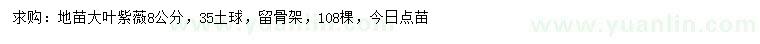 求購8公分大葉紫薇