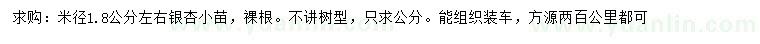 求購(gòu)米徑1.8公分左右銀杏小苗