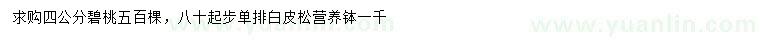 求購4公分碧桃、80公分起步白皮松