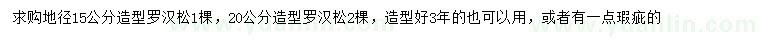 求購地徑15、20公分造型羅漢松