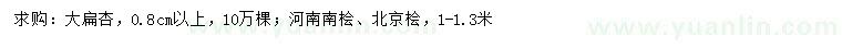 求購大扁杏、河南檜、北京檜