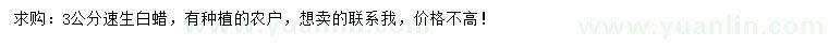 求購3公分速生白蠟
