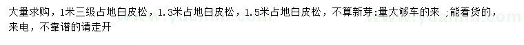 求購1、1.3、1.5米白皮松
