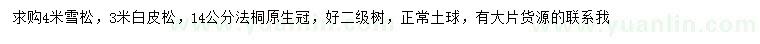 求購(gòu)雪松、白皮松、法桐