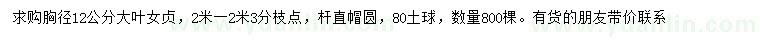 求購胸徑12公分大葉女貞