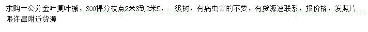求購(gòu)10公分金葉復(fù)葉槭