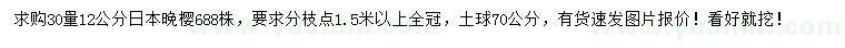 求購30公分量12公分日本晚櫻