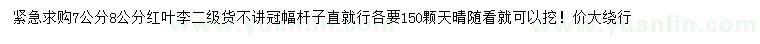 求購7、8公分紅葉李