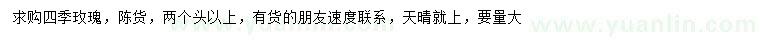 求購(gòu)四季玫瑰