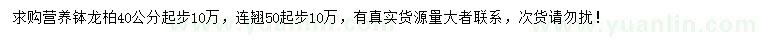 求購(gòu)40公分起步龍柏