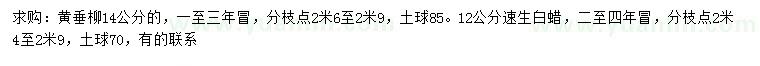 求購14公分黃垂柳、12公分速生白蠟