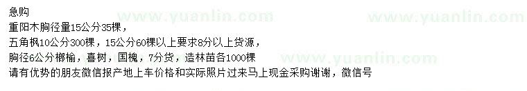 求購重陽木、五角楓、榔榆等