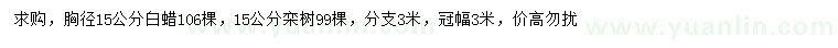 求購(gòu)胸徑15公分白蠟、欒樹(shù)