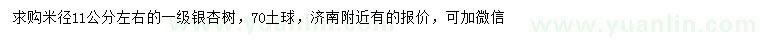 求購米徑11公分左右銀杏