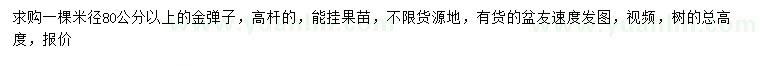 求購米徑80公分以上金彈子