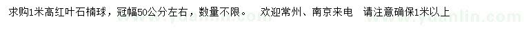 求購高1米紅葉石楠球