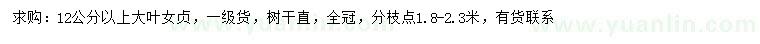 求購(gòu)12公分大葉女貞