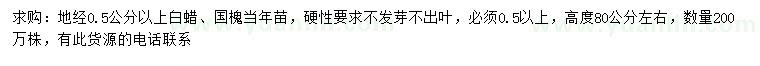 求購(gòu)地徑0.5公分以上白蠟、國(guó)槐