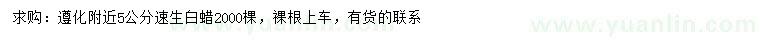 求購(gòu)5公分速生白蠟