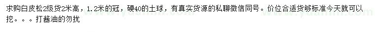 求購高2米白皮松