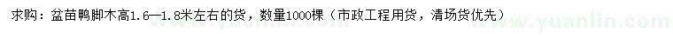 求購高1.6-1.8米左右鴨腳木