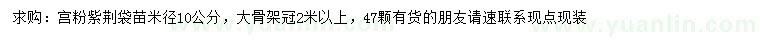 求購米徑10公分宮粉紫荊
