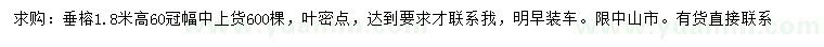 求購(gòu)高1.8米垂榕