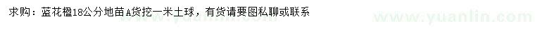 求購(gòu)18公分藍(lán)花楹