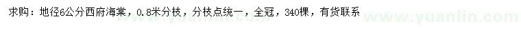 求購地徑6公分西府海棠