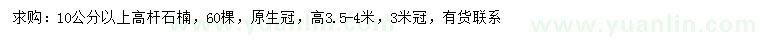 求購(gòu)10公分以上高桿石楠