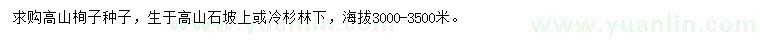 求購高山栒子種子