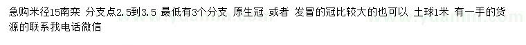 求購米徑15公分欒樹