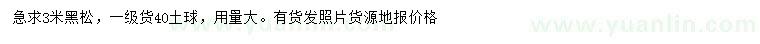 求購(gòu)3米黑松