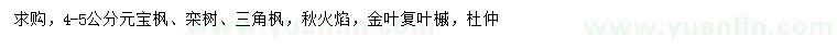 求購元寶楓、欒樹、三角楓等