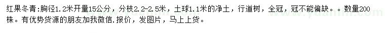 求購胸徑1.2米量紅果冬青