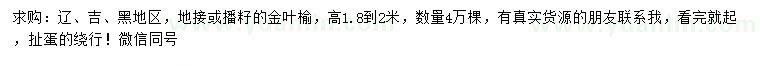 求購高1.8-2米金葉榆