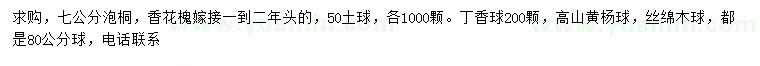 求購泡桐、香花槐、丁香球等