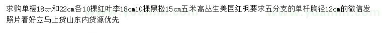 求購(gòu)單櫻、紅葉李、黑松等