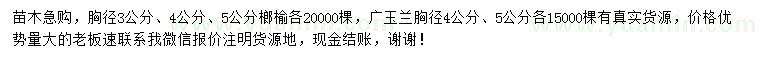 求購(gòu)胸徑3、4、5公分榔榆、4、5公分廣玉蘭